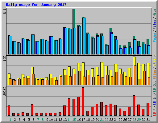 Daily usage for January 2017