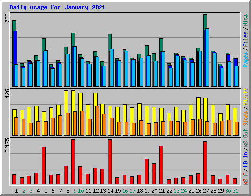 Daily usage for January 2021