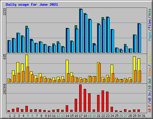 Daily usage for June 2021