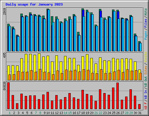 Daily usage for January 2023