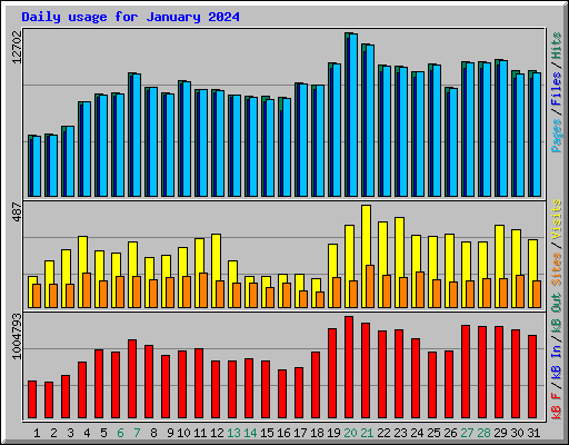 Daily usage for January 2024