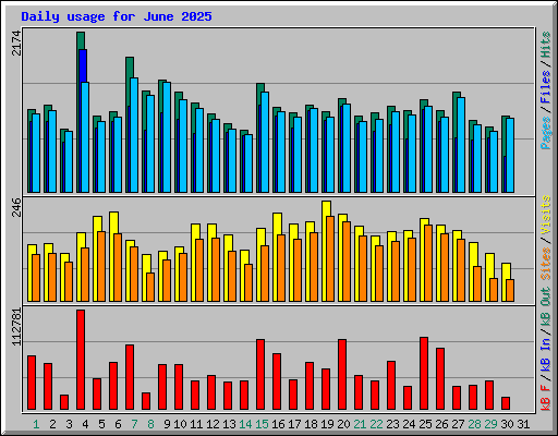 Daily usage for June 2025