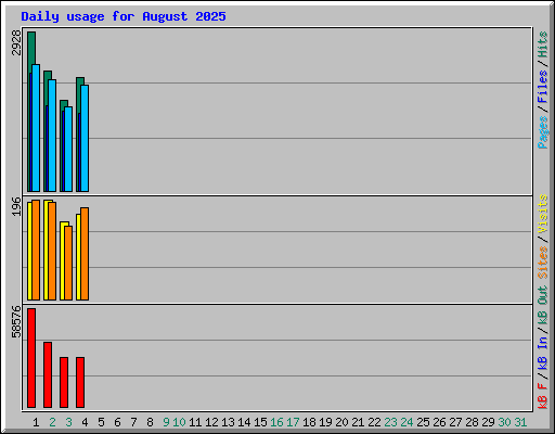 Daily usage for August 2025