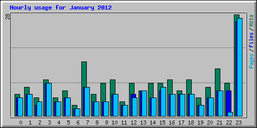 Hourly usage for January 2012