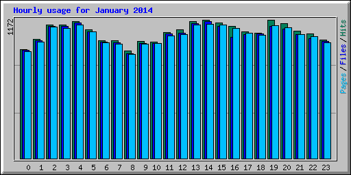 Hourly usage for January 2014
