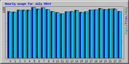 Hourly usage for July 2014