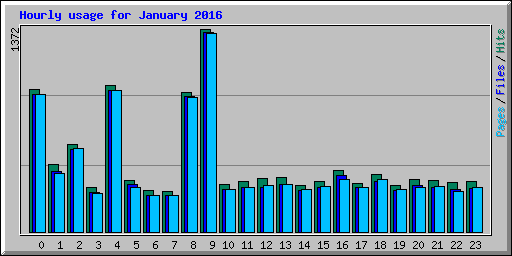 Hourly usage for January 2016