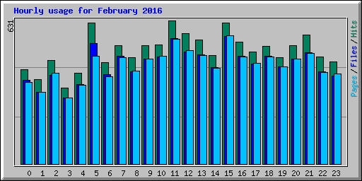 Hourly usage for February 2016