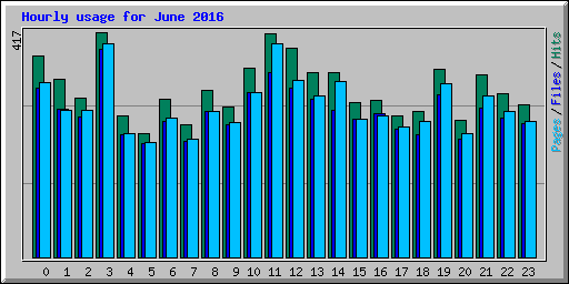 Hourly usage for June 2016