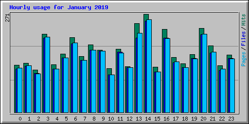 Hourly usage for January 2019