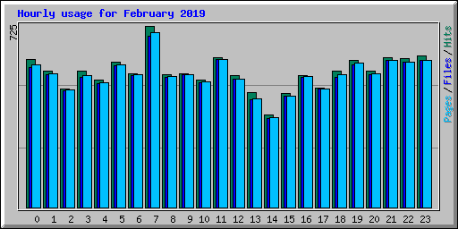 Hourly usage for February 2019