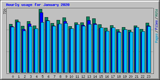 Hourly usage for January 2020