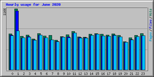 Hourly usage for June 2020