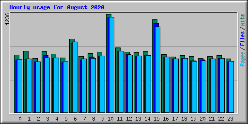 Hourly usage for August 2020