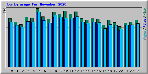 Hourly usage for November 2020