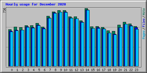 Hourly usage for December 2020