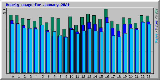 Hourly usage for January 2021