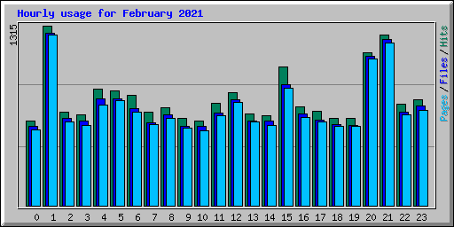 Hourly usage for February 2021