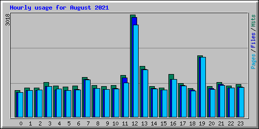 Hourly usage for August 2021