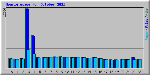 Hourly usage for October 2021