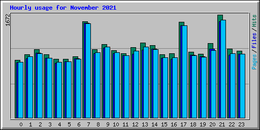 Hourly usage for November 2021