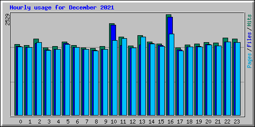 Hourly usage for December 2021