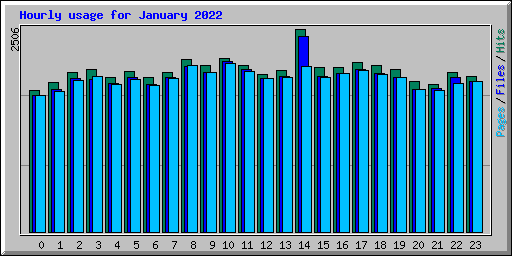 Hourly usage for January 2022