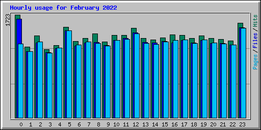 Hourly usage for February 2022