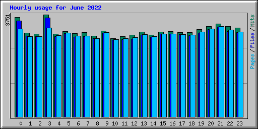 Hourly usage for June 2022