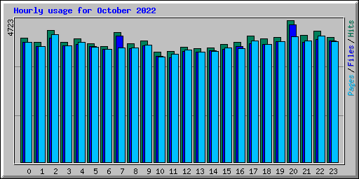 Hourly usage for October 2022