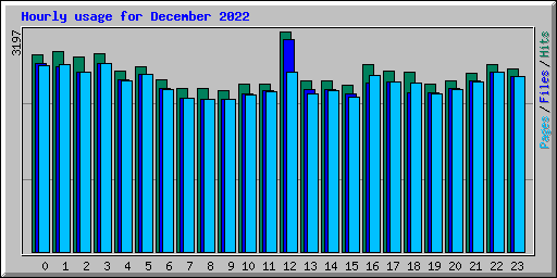 Hourly usage for December 2022