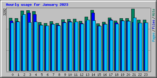 Hourly usage for January 2023