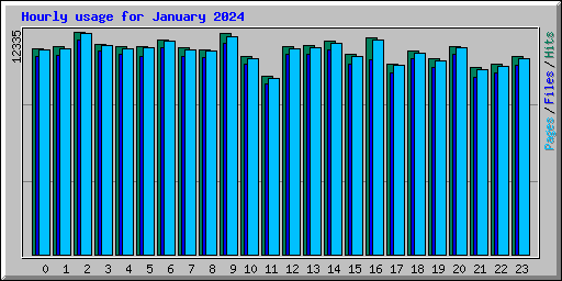 Hourly usage for January 2024