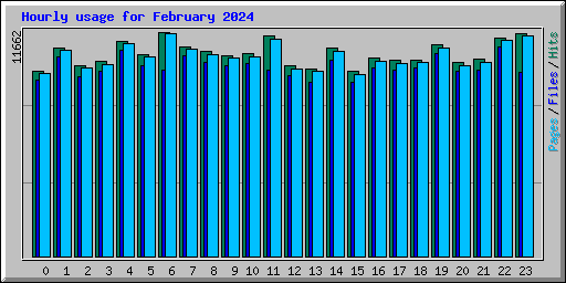 Hourly usage for February 2024