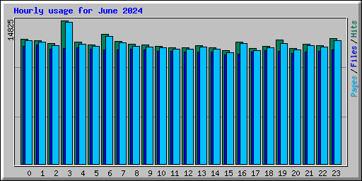 Hourly usage for June 2024