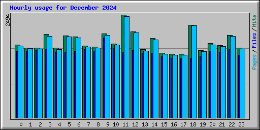 Hourly usage for December 2024
