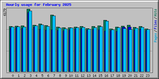 Hourly usage for February 2025