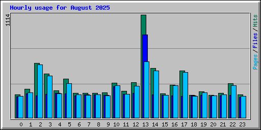 Hourly usage for August 2025