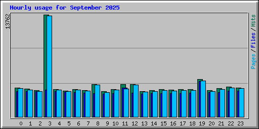 Hourly usage for September 2025