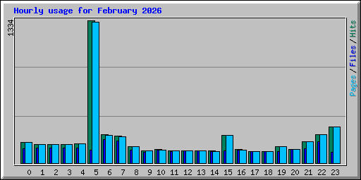 Hourly usage for February 2026